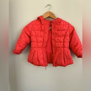 Toddler Winter Puffer